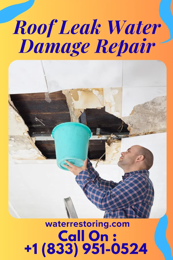 Roof Leak Water Damage Repair in Bakersville, NC